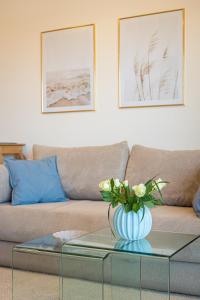 Cozy Blue Vista apartment