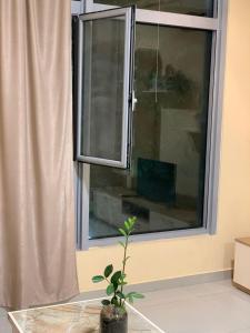 Apartamente Joni Vlore