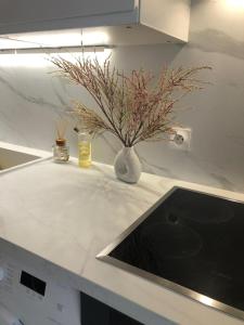 Appartements Le confort et l-elegance a deux pas de Paris : photos des chambres