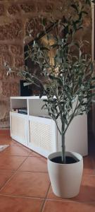 Quinta JR - Casa de campo