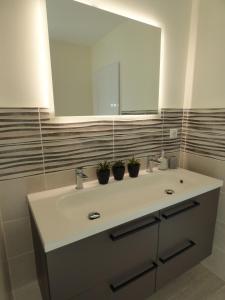 Appartements Le Jules Verne, appartement en plein centre-ville : Appartement 4 Chambres