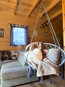 Gawra Nad Jeziorem - całoroczne domki nad jeziorem z balią, jacuzzi i sauną, Kaszuby