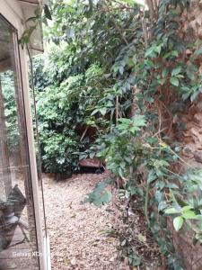 Appartements Le magasin : photos des chambres