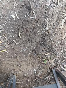 Eco Secluded hand built stone house in an oasis