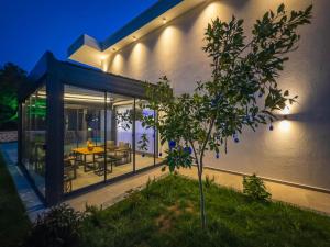 Luxury Villa with Spacious Garden