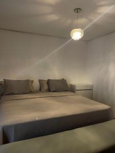 House for Bahia Farm Show