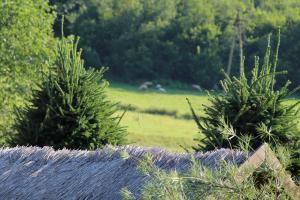 Agroturystyka Jagodowa Róża - Maria Farganus