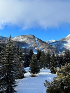 T3 appart 50 metres des pistes