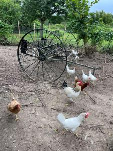 Le cottage du Manoir 1900