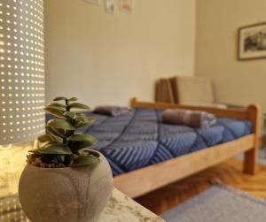 Apartmani Central Vrnjačka Banja Šetalište