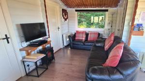 Cosy log cabin in Snowdonia 167