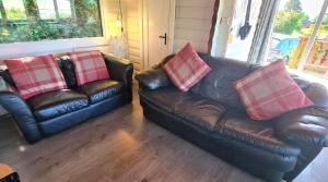 Cosy log cabin in Snowdonia 167