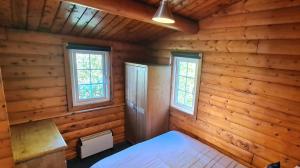 Cosy log cabin in Snowdonia 167