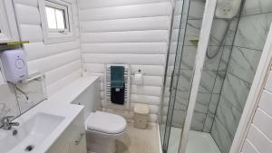 Cosy log cabin in Snowdonia 167