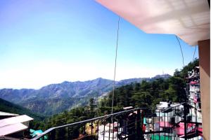 Himalyan roots shimla