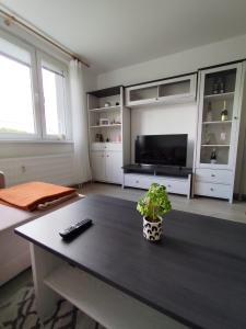 Cozy apartment with a view