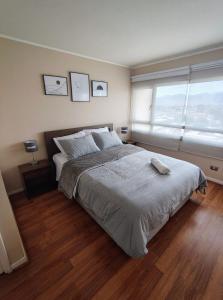 Disfruta Edificio Eduardo Abaro2Hab-2Baño-1 Estac