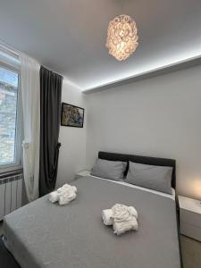 Rosa Bianca - Two-room apartment in the City Center