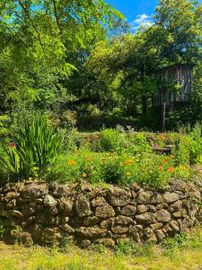 Auberges de jeunesse Dortoir dans la nature : photos des chambres