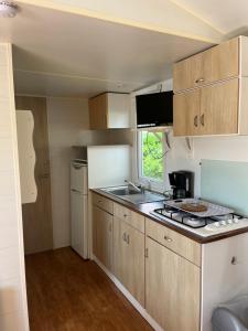 Campings Domaine Residentiel de Plein Air Escale du Perthuis : Standard Mobile Home (4 Adults)