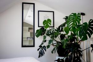 Vorstelijk verblijf Alkmaar