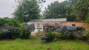 Maisons de vacances Pink Granite Coast Cottage between forest and sea : Maison 4 Chambres