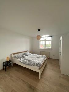 Appartements Spacious flat in Alsace 30 min from Europa-Park : photos des chambres