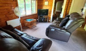 Cosy log cabin in Snowdonia 19