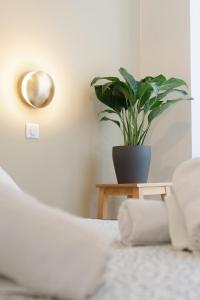 Ambiance cosy a la Niçoise