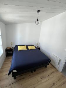 Charmante maison de Gros-Jonc