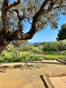 Villa Esden & adjoined outbuilding - Sea view, swimming pool, air conditioning, absolute calm, 5000 m2 land