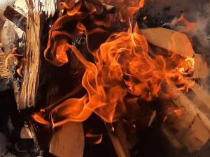 Härköniemen mökki