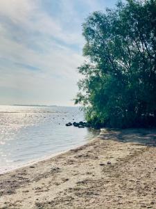 Landelijk gelegen houten huisje