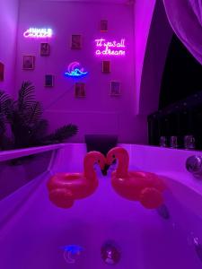 Colorful Vibes&Jacuzzi Nights Sunny Escapes Cyprus