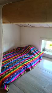 1 Lägenhet och 1 Glampingtält i HomeTree