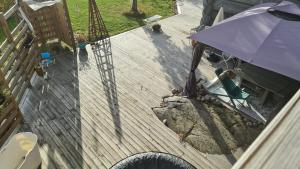 1 Lägenhet och 1 Glampingtält i HomeTree