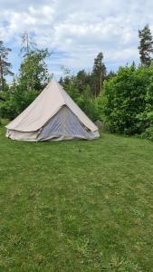 1 Lägenhet och 1 Glampingtält i HomeTree