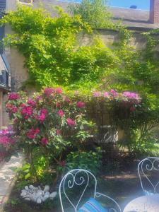 Appartements Au puits de l'abbaye : Appartement 1 Chambre