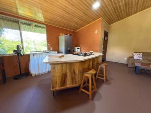 Peregrine Nest Puerto Jimenez