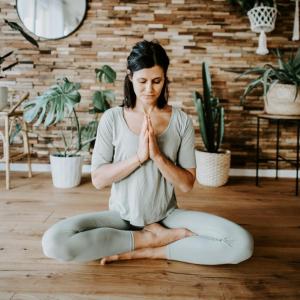 VISIT VIENNA near SCHÖNBRUNN city 2-rooms U3 U4 51a 48a WALTZ AND CASTLES