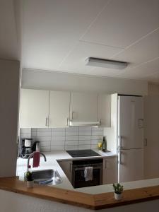 Grøn Odense Central