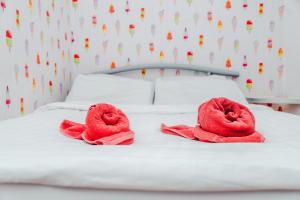 Budget Double Room room in London Backpackers Youth Hostel