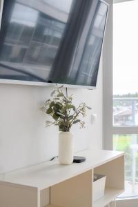 Just Inn Apartment