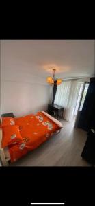 Apartament dragut si spatios in centrul orasului - Parcare gratuita