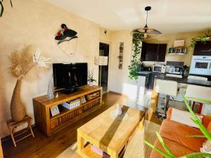 Appartements Annecy Cocoon Appart : photos des chambres