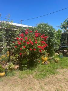 B&B / Chambres d'hotes Les volets verts : photos des chambres