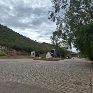 Bajo el Roble