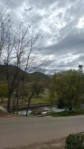 Bajo el Roble