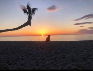 Casa de la Playa,Mer 100m, parking,animaux,clim,wifi