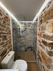 Traditional house Nikos